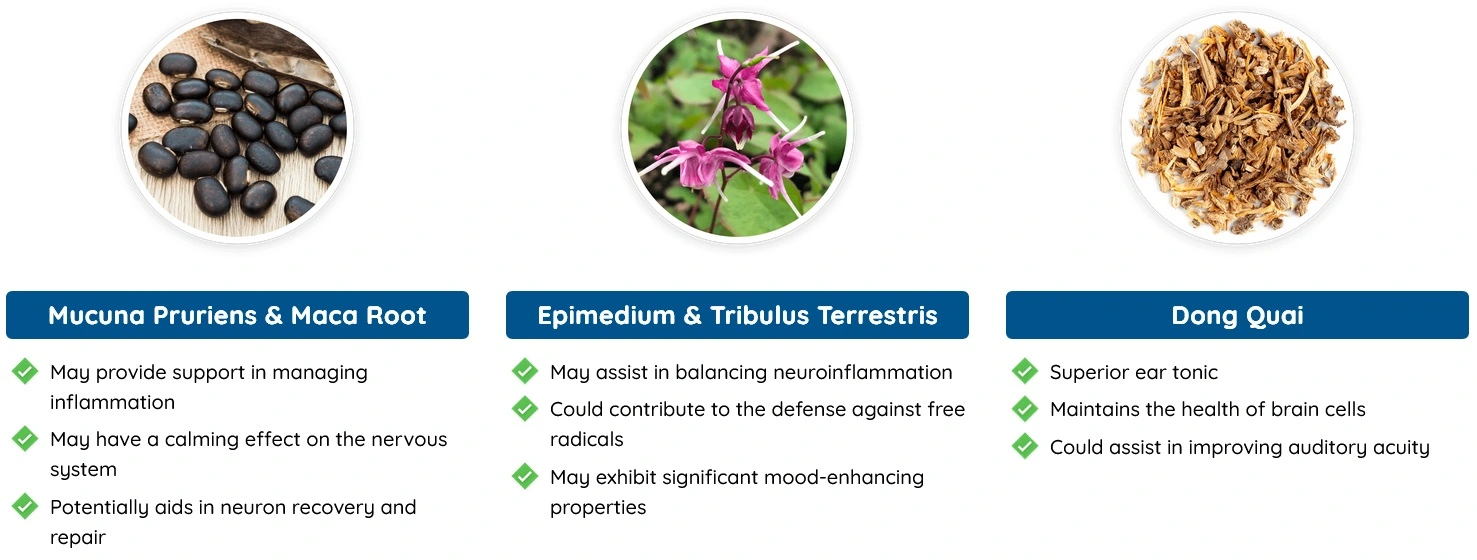 quietum plus ingredients