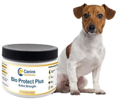 bio protect plus