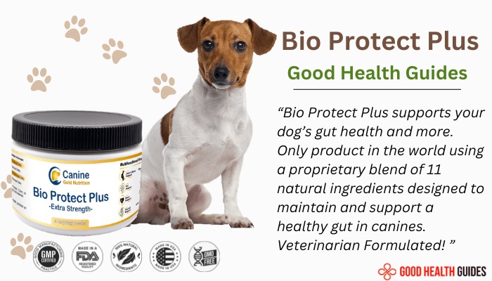 canine gold bio protect plus
